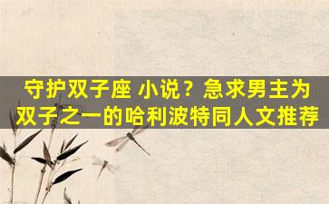 守护双子座 小说？急求男主为双子之一的哈利波特同人文推荐